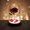 Φωτιστικό Enchanted Rose – Beauty and the Beast (Bell Jar)